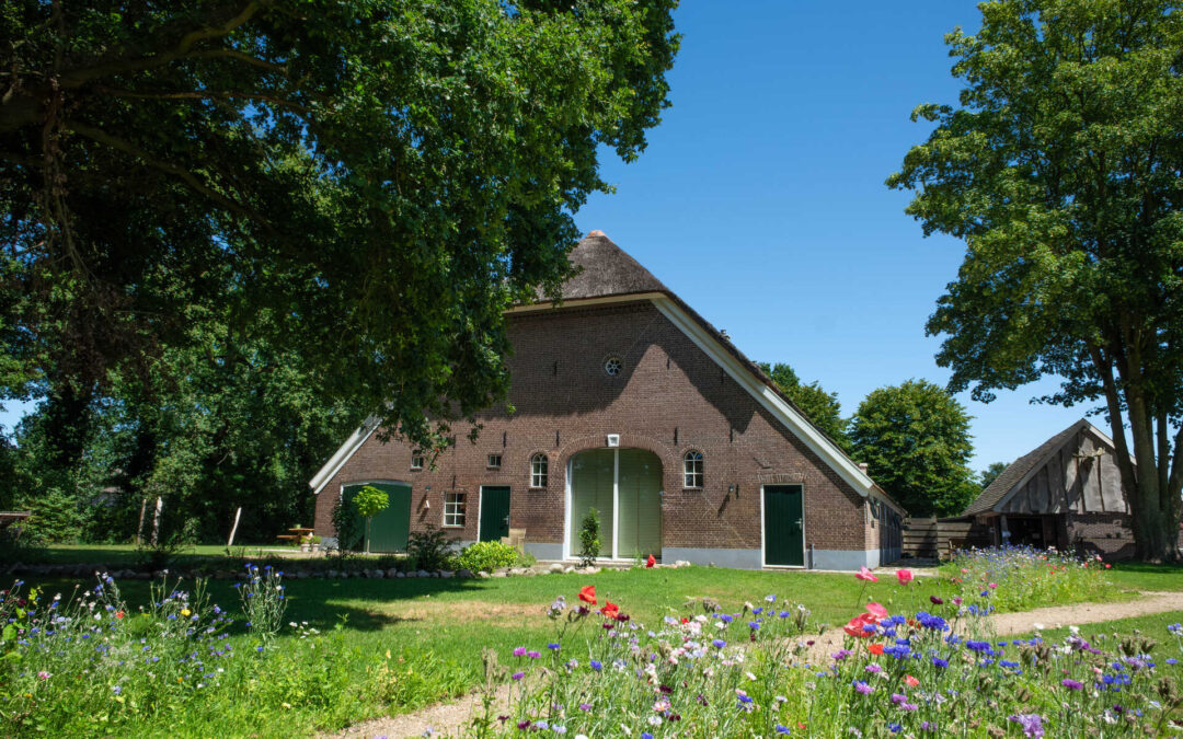 Schenking aan Hadassa Hoeve in Ane